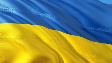 Ukraine Raises Concerns Over Alleged Grain Shipments Linked to Russia