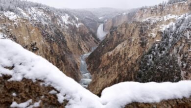 Winter Storm Warning Issued as Rare June Snow Falls Across Three U.S. States 3 IMG 3056